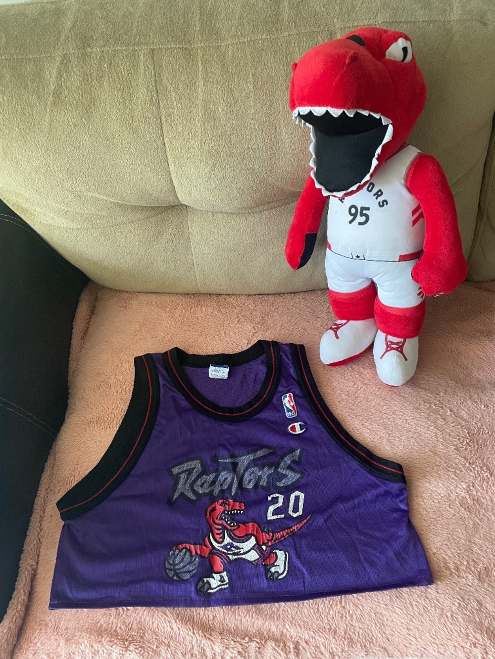 Vintage Toronto Raptors jersey, size S. And stuffy Dino.